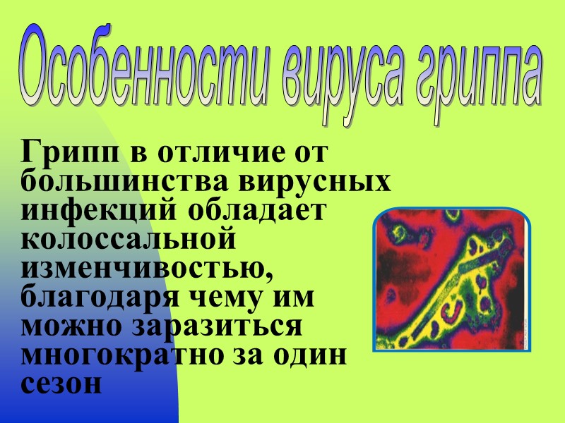 Грипп в отличие от большинства вирусных инфекций обладает колоссальной изменчивостью, благодаря чему им можно